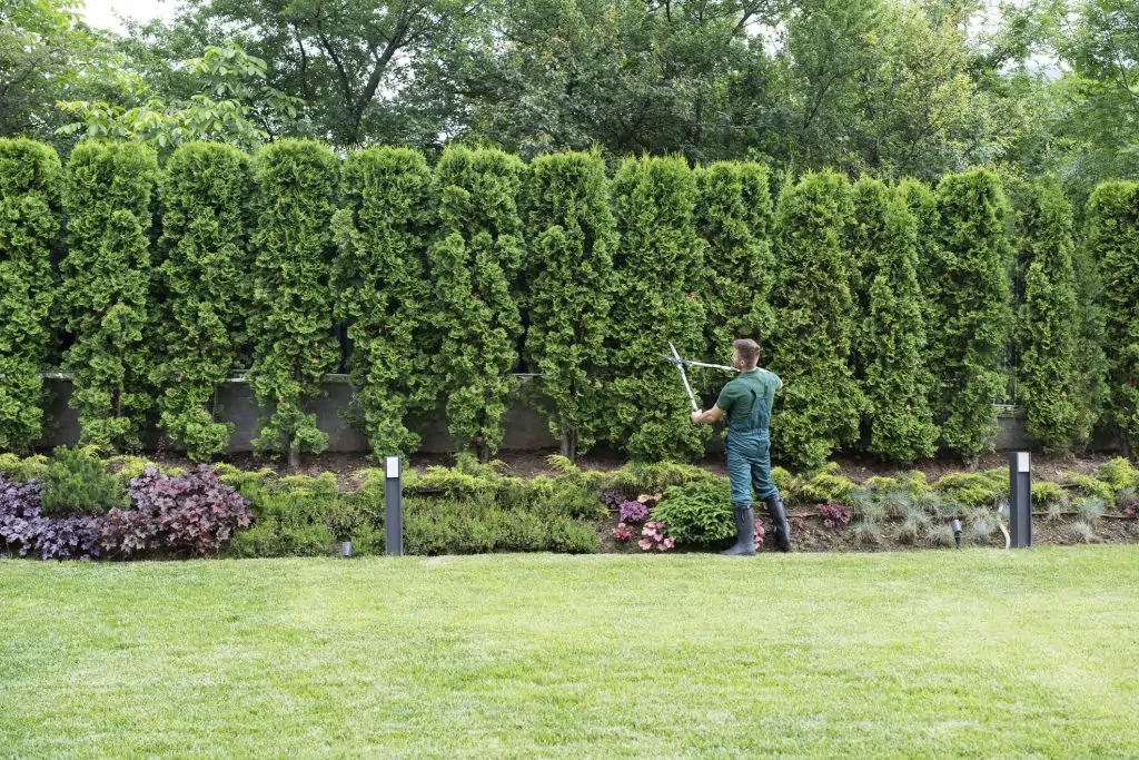 A landscape technician trims hedges as part of a property maintenance plan NY