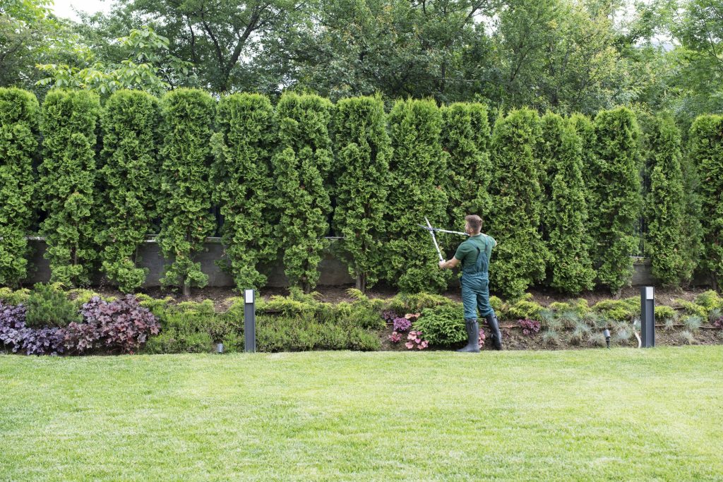 A landscape technician trims hedges as part of a property maintenance plan.