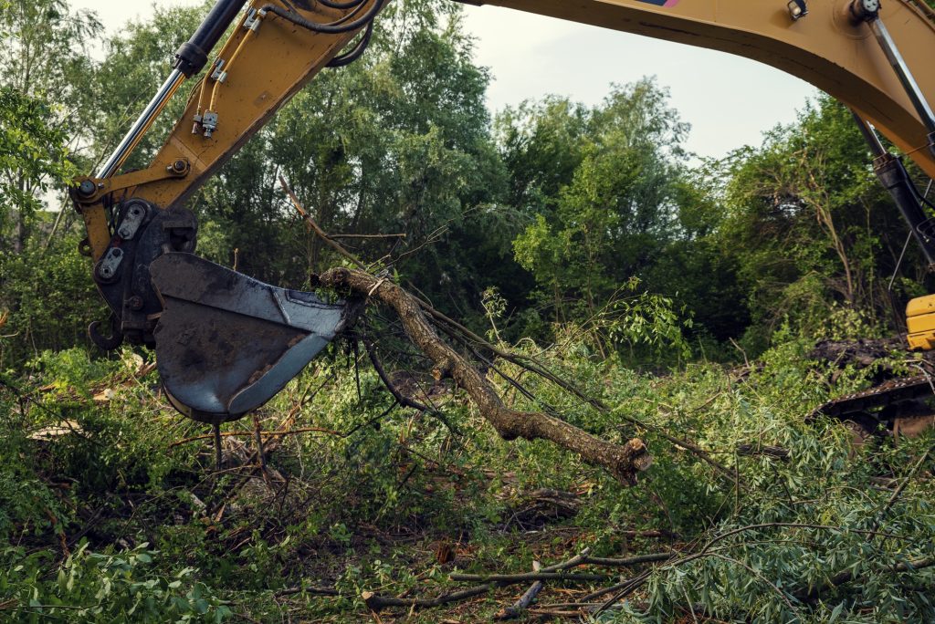 An excavator clears land for new landscaping.