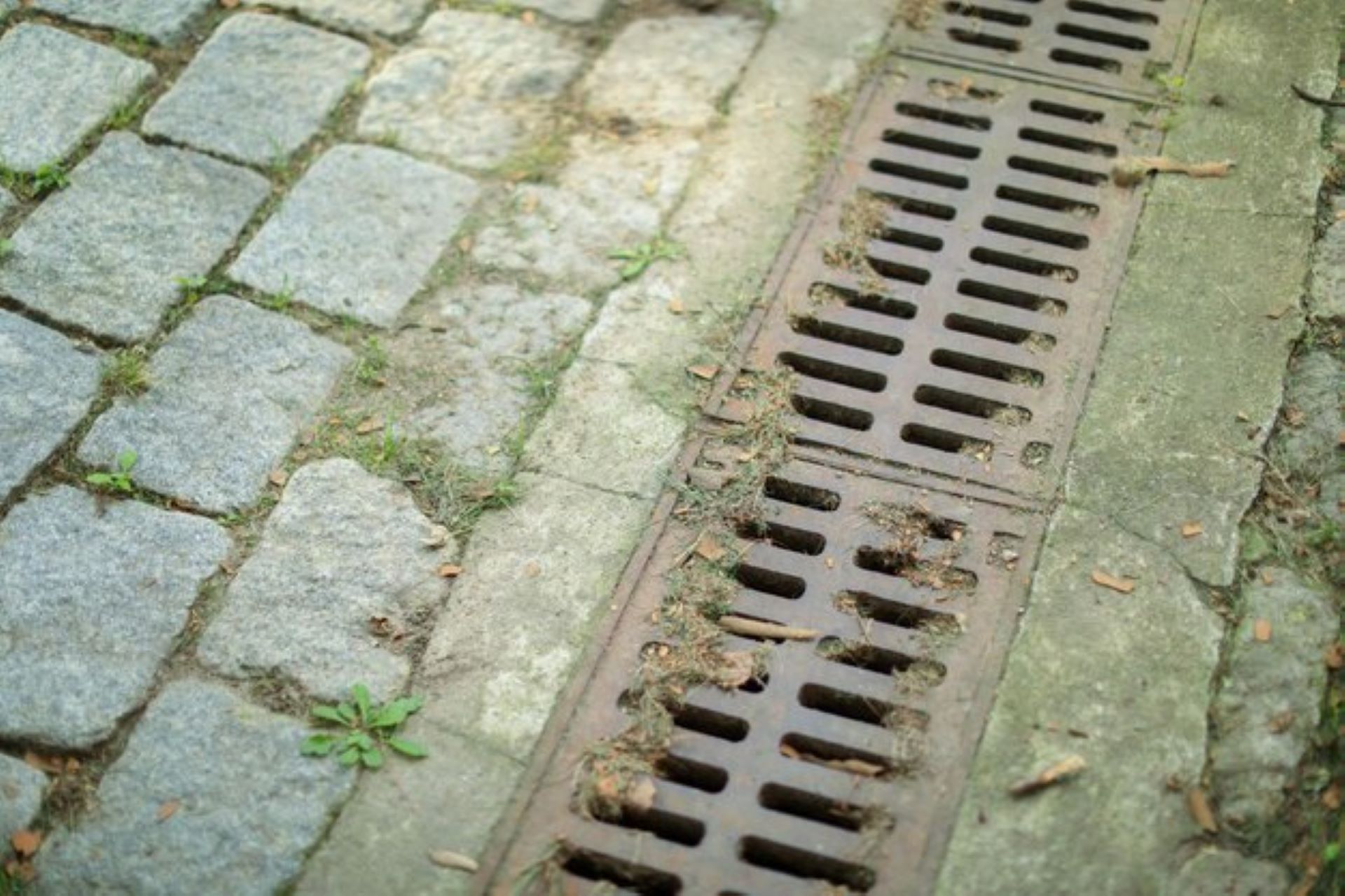 Drainage
