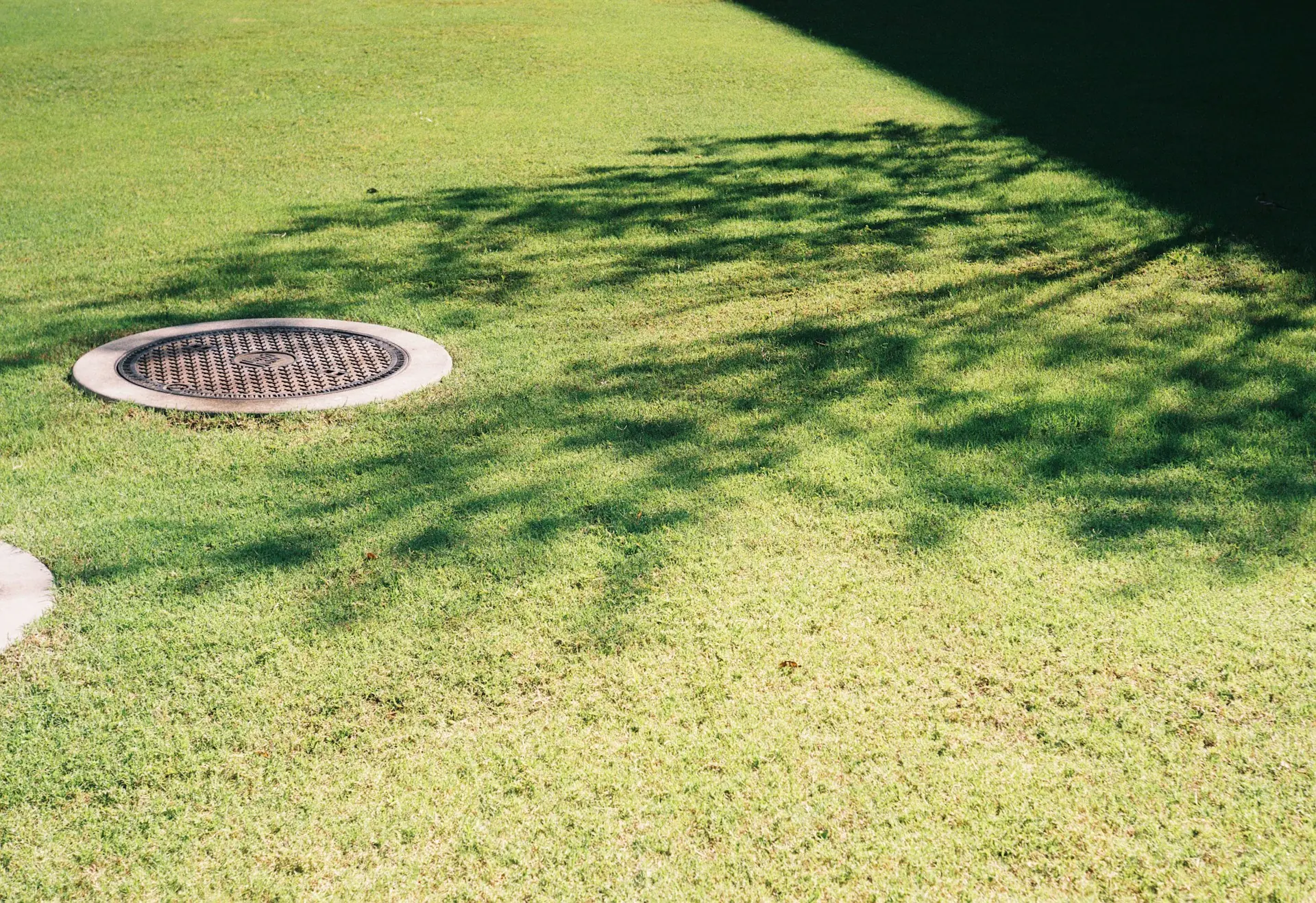 Backyard Drainage