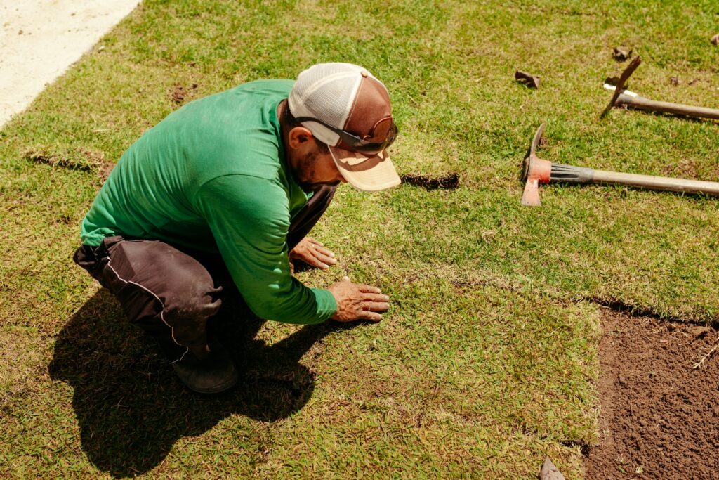 Landscape Maintenance