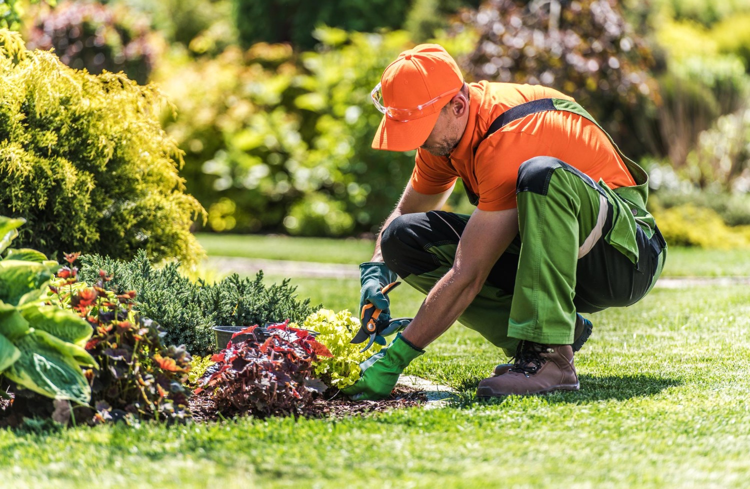 Landscape Maintenance