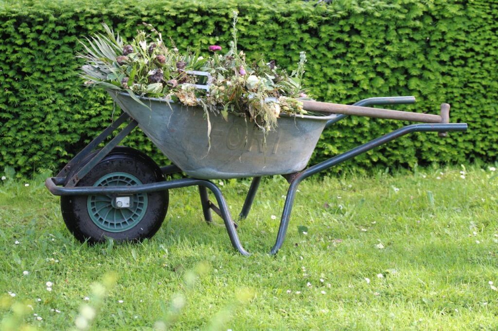 Lawn Care