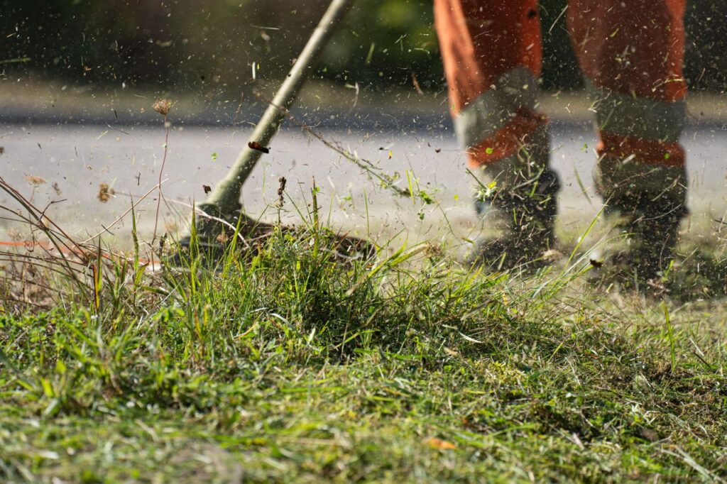 Lawn Care
