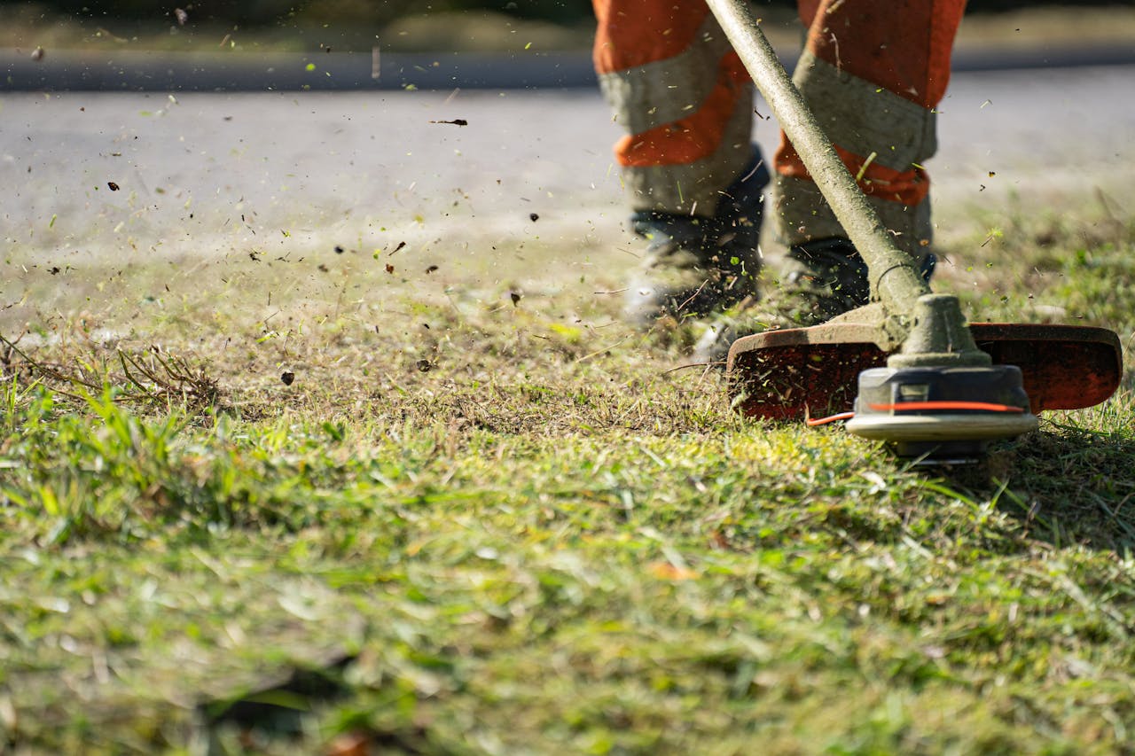 lawn care