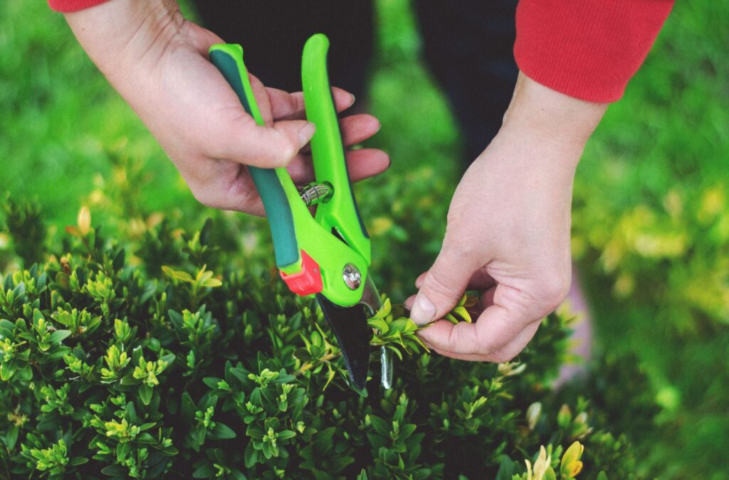 landscape care