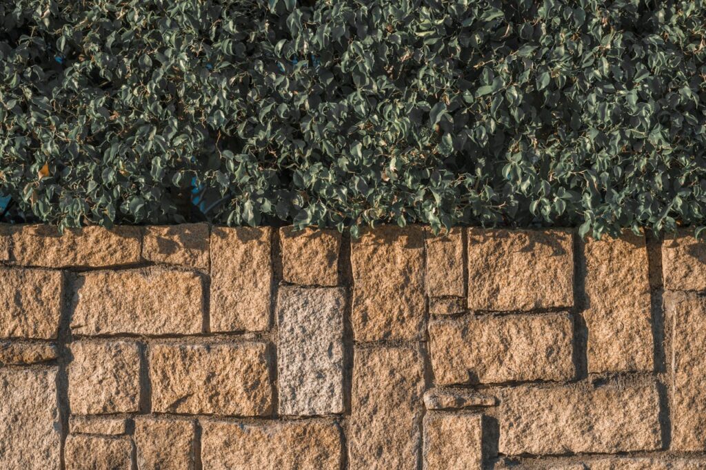 Hardscape Projects