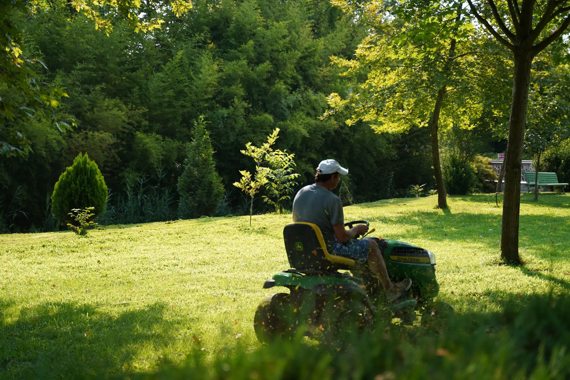 lawn care