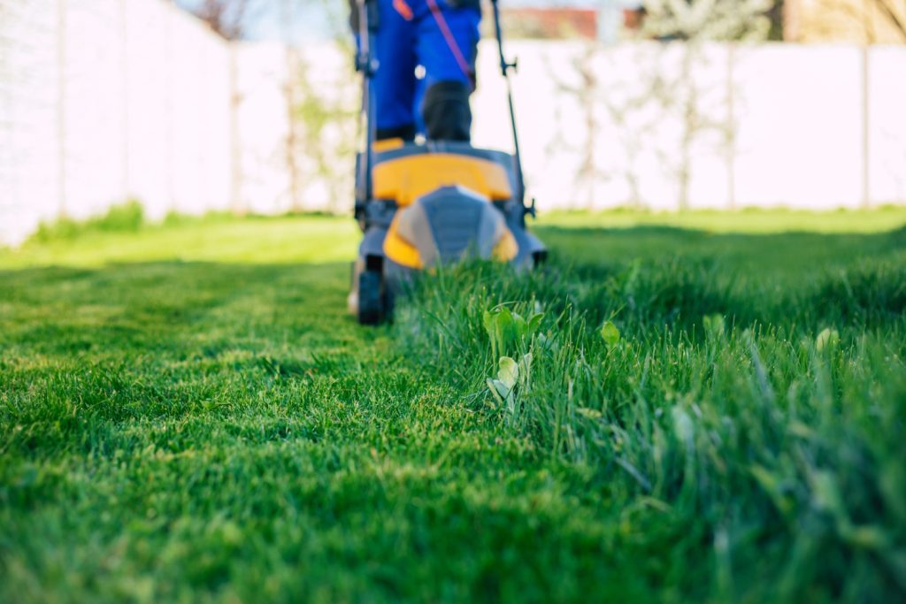Lawn Care