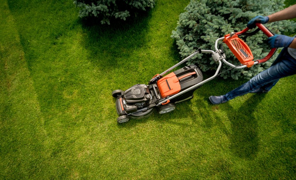 Landscape Maintenance