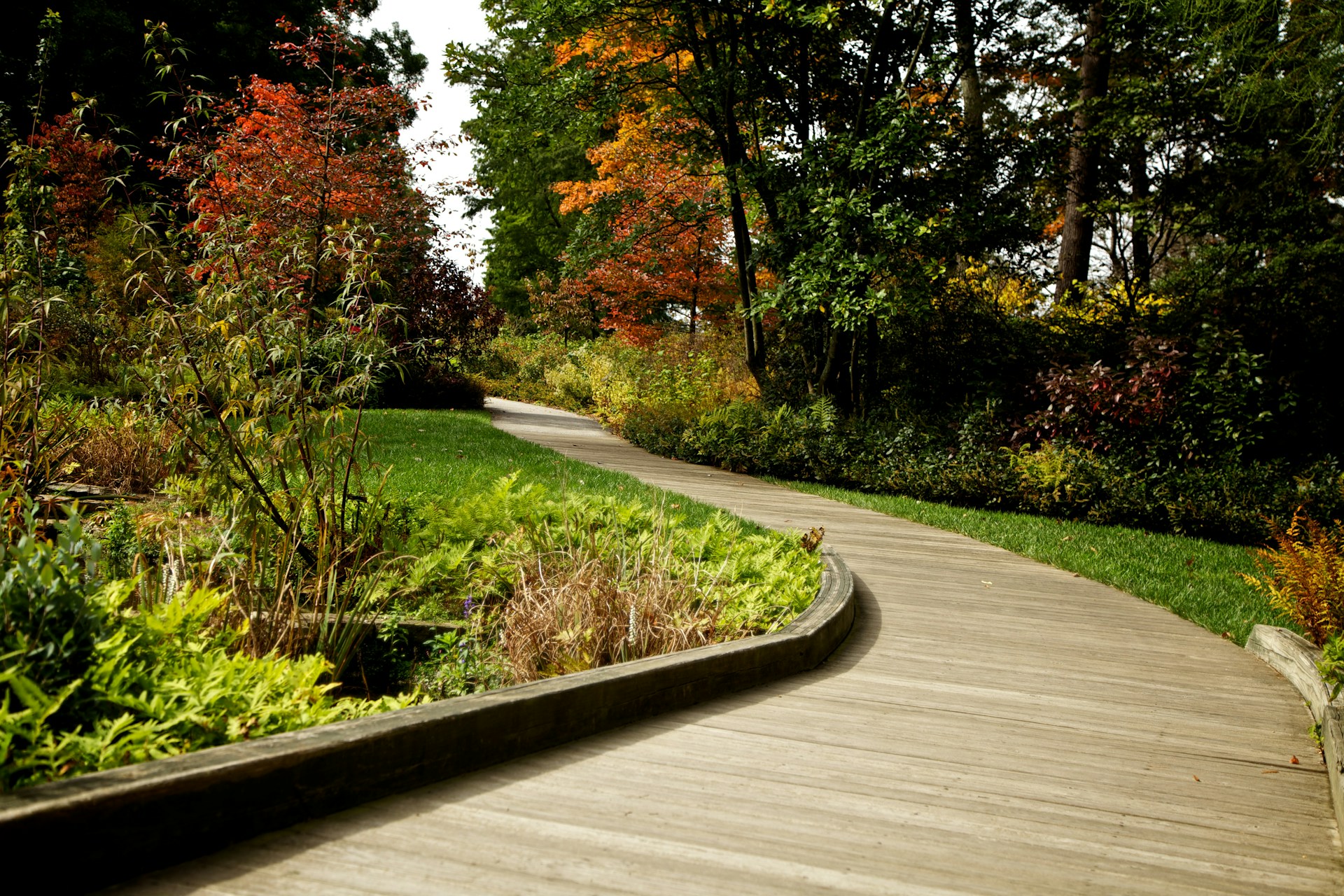 Landscape Maintenance