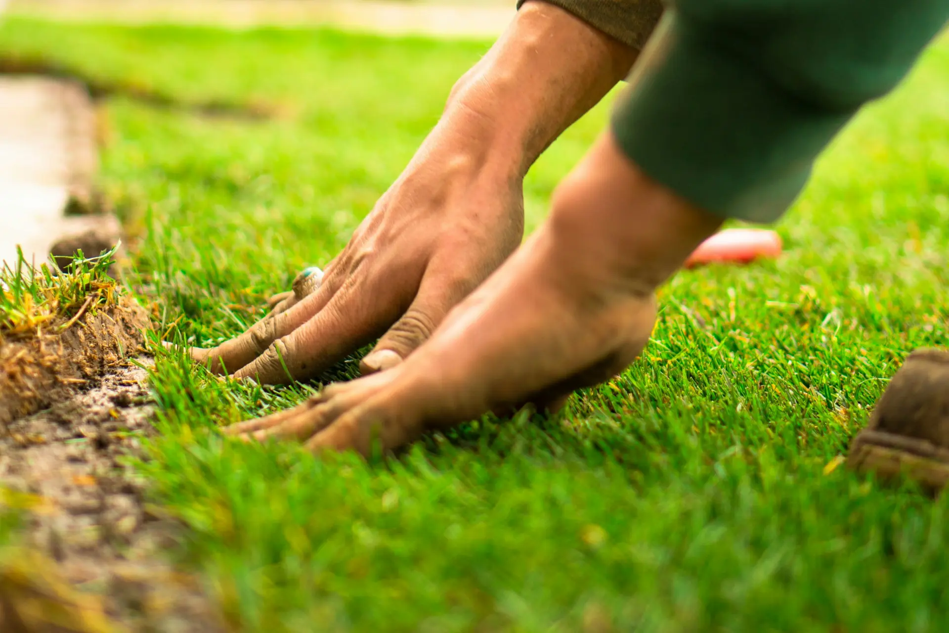 lawn care