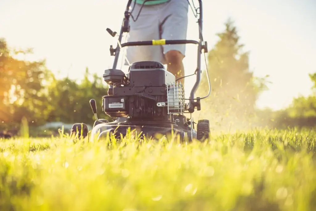 yard maintenance