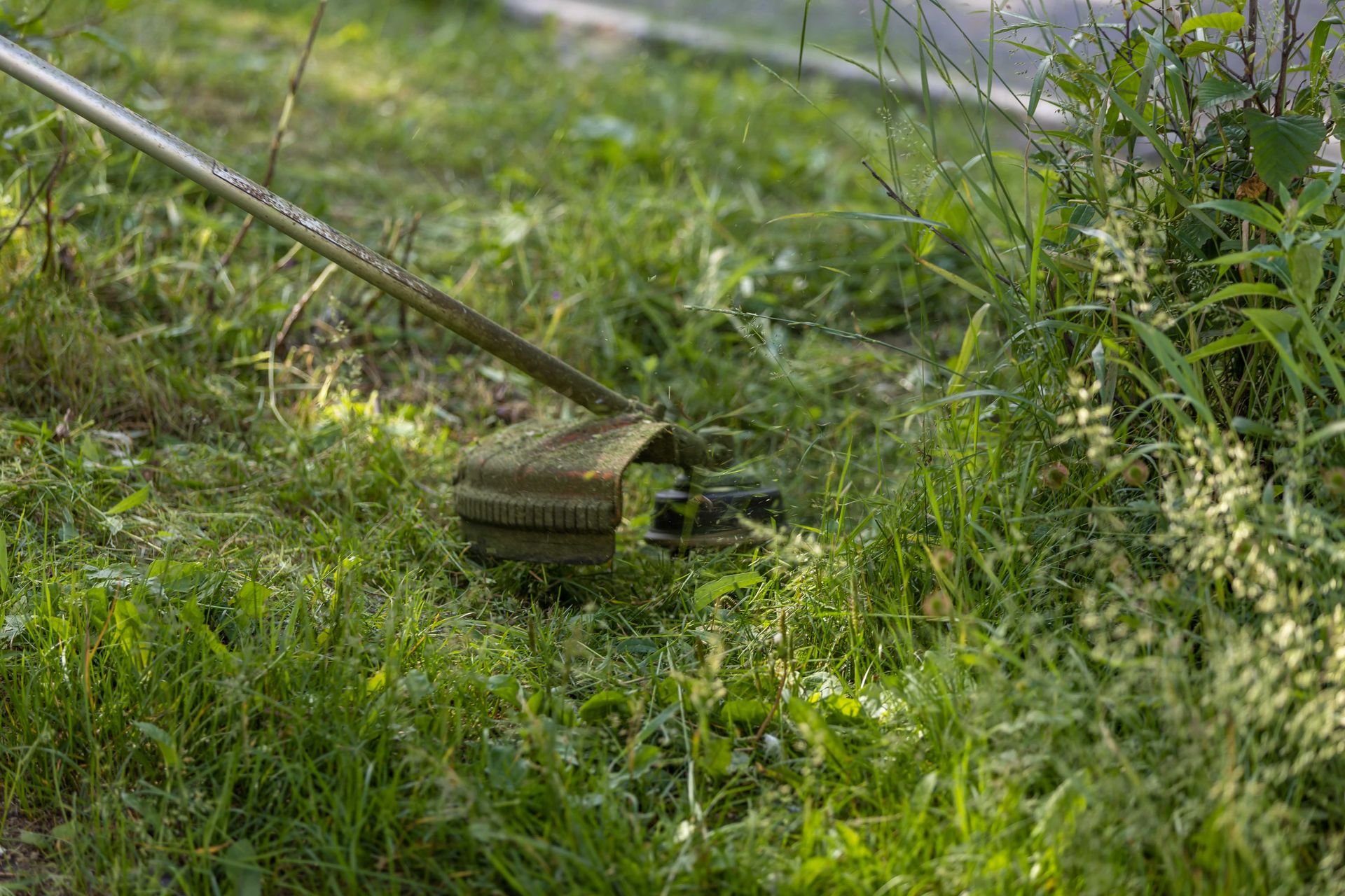 lawn care