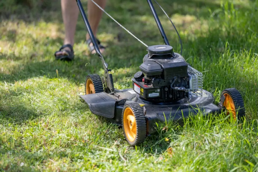 lawn care