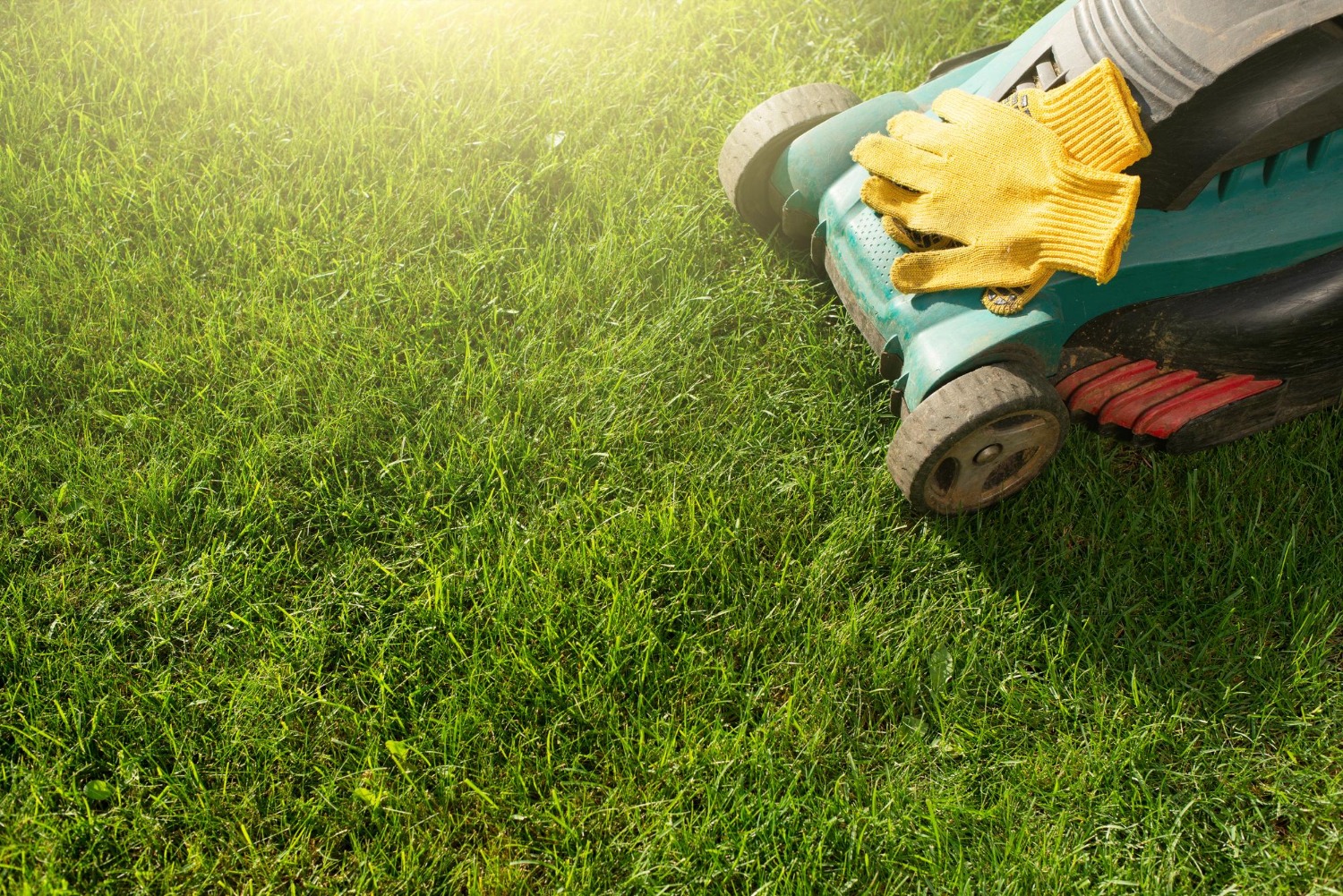 lawn care