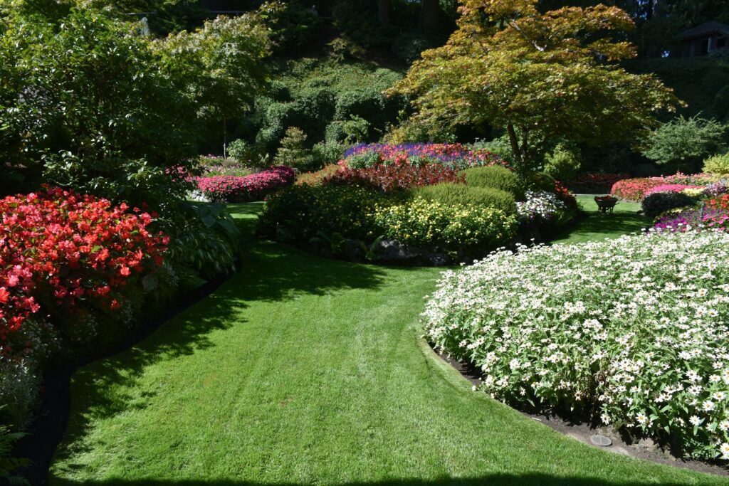 Landscape Maintenance
