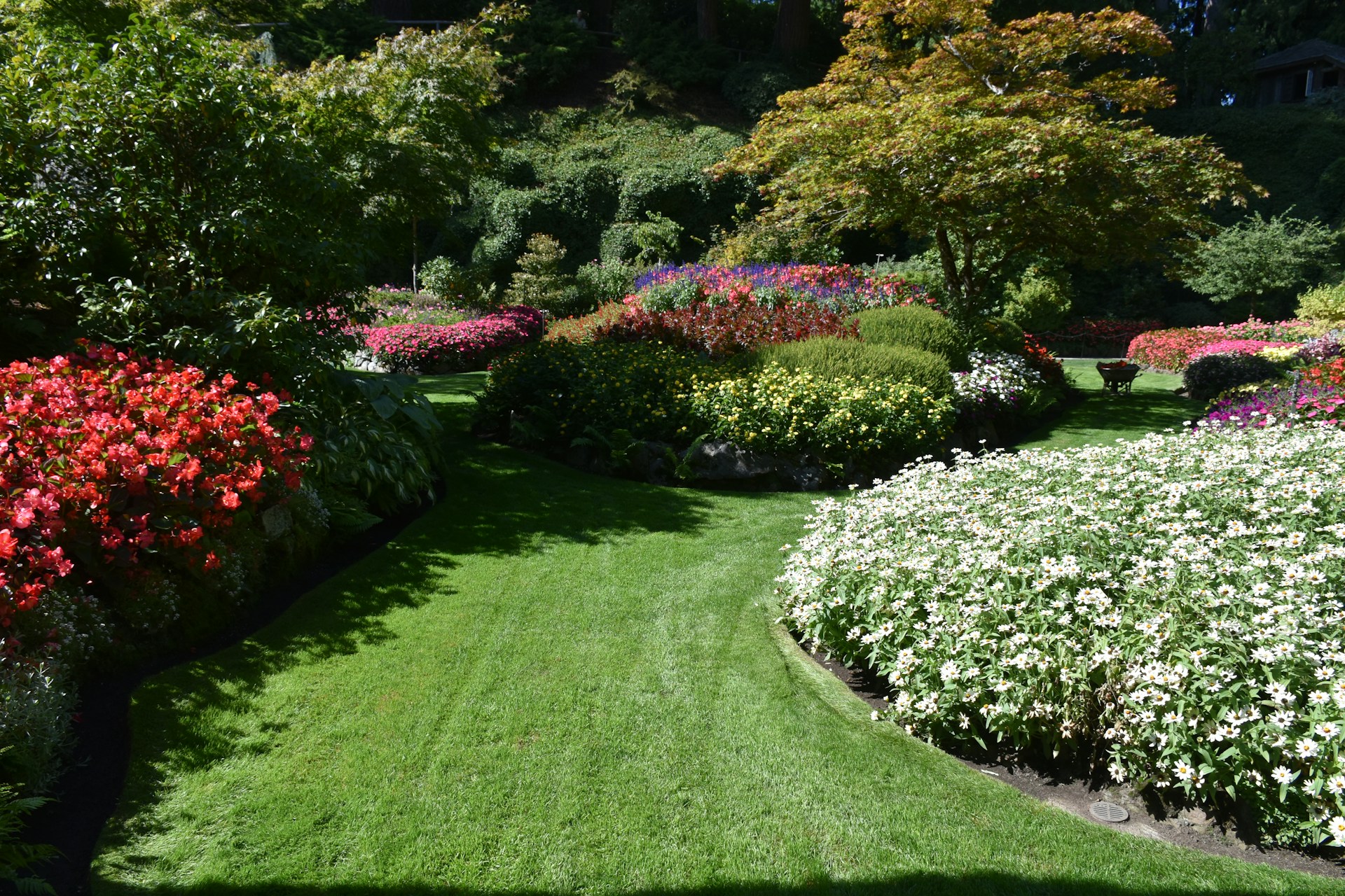 Landscape Maintenance