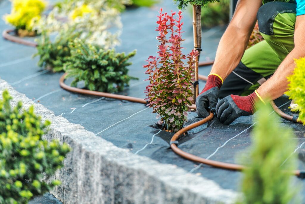 Luxury Landscaping