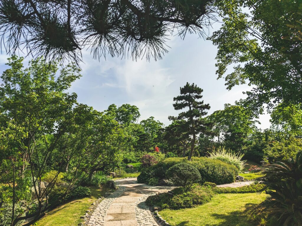 Landscape